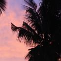 IMG_3281